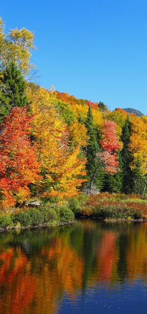 Indian Summer Kreuzfahrt An Der Usa Ostkuste Jetzt Mit Phoenix