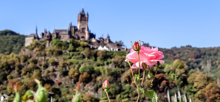 Alena -Cochem, Mosel