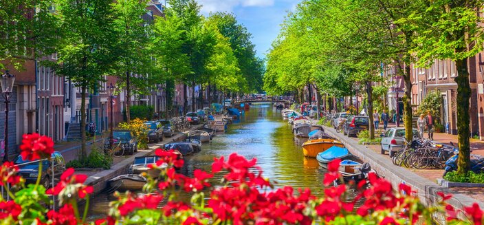 Alisa -Amsterdam