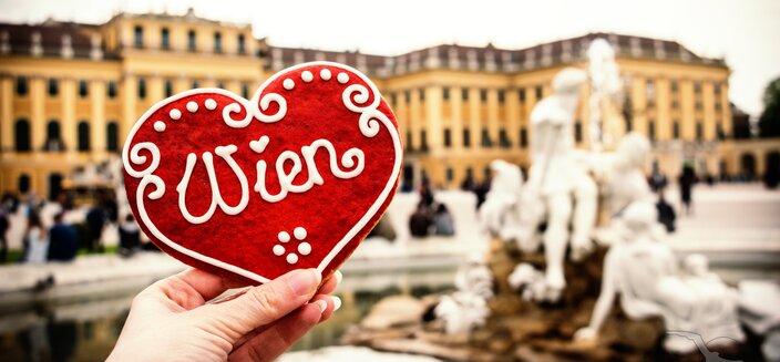 Amelia -Wien, Weihnchtsmarkt