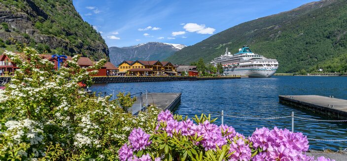 Amera -MS Amera in Flam
