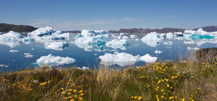 Artania -Kleine Eisberge in Narsaq, Groenland
