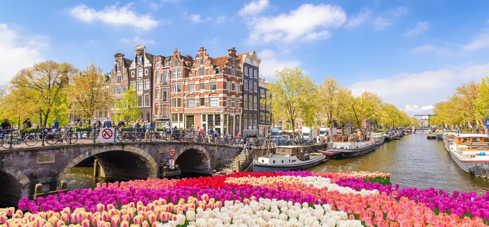 Asara -Blumen in Amsterdam, Niederlande