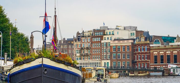 Aurelia -Amsterdam