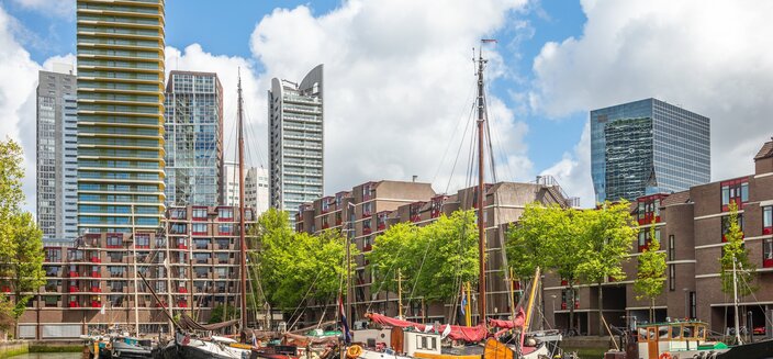 Aurelia -Rotterdam