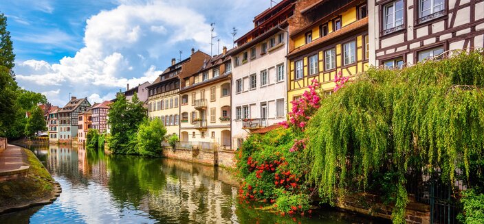 Aurelia -Strassburg