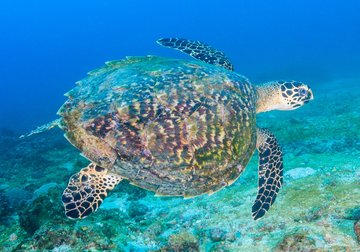 Mahé zu Wasser und zu Land