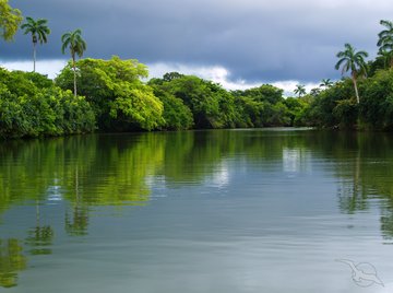 Flusslandschaft in Belize