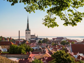 Blick auf die Altstadt von Tallinn, Estland