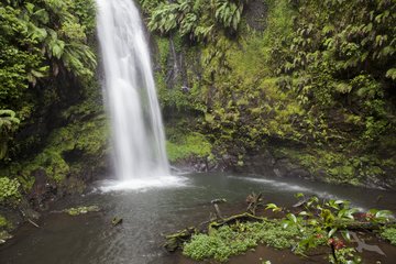 Wasserfall mündet im Naturbecken im Nationalpark Montagne d'Ambre, Madagaskar