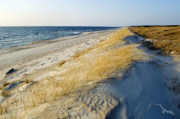 Dünen der kurischen Nehrung, Litauen