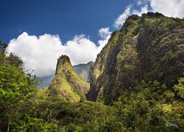 Iao Valley mit dem Grand-Monolith 