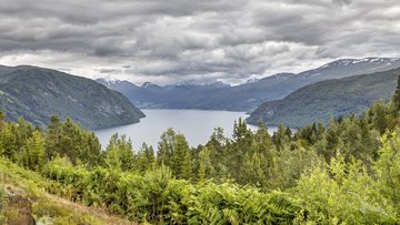Fjordpanorama