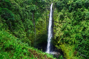 Akaka Wasserfall in Hilo, USA