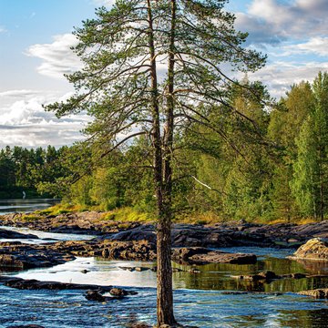 Koiteli Stromschnellen