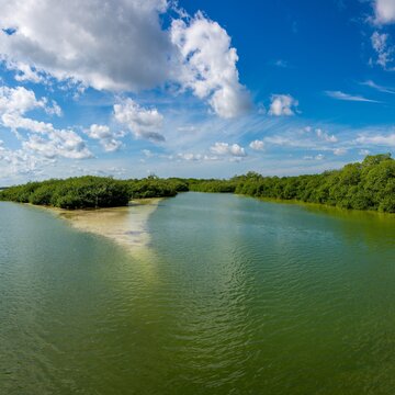 Panoramaaufnahme von Mangroven in Mexiko