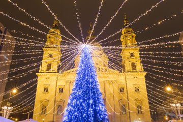 Blauer Weihnachtsbaum vor der St.-Stephans-Basilika in Budapest, Ungarn