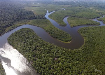 Luftaufnahme des Amazonas, Brasilien