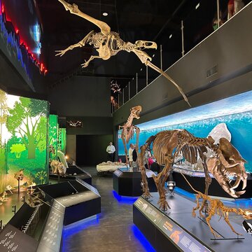 Ausflug: Paläontologisches Museum und Gamian