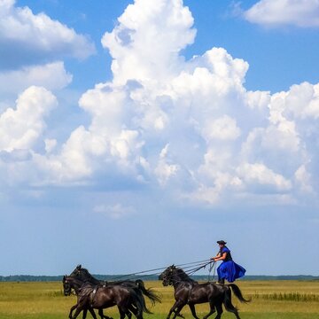 Puszta Pferdeshow, Ungarn