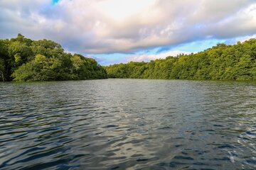 Muara, Mangroven Safari, Brunei
