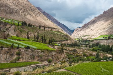 Fruchtbares Tal mit Weinbergen in Chile