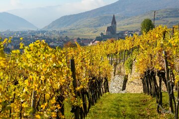 Herbst in der Wachau