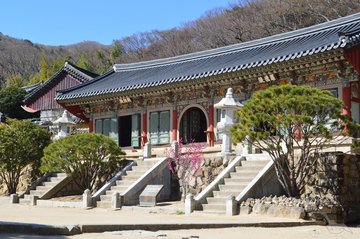 Busan mit Tempel und Märkten