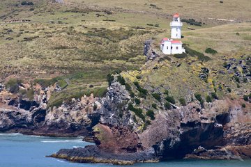Leuchtturm am Taiaroa Head, Neuseeland