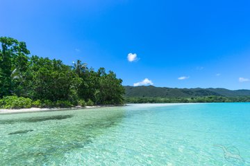 Tropischer Strand mit türkisblauem Wasser