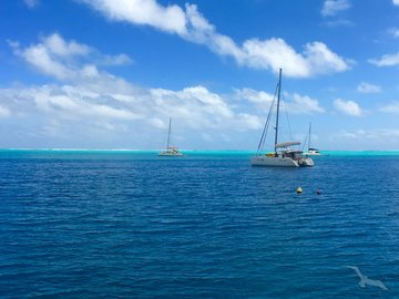 Elektro-Katamaranfahrt und Schnorcheln im Marineschutzpark