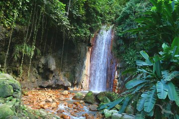 Botanischer Garten mit Wasserfall in Saint Lucia, Karibik
