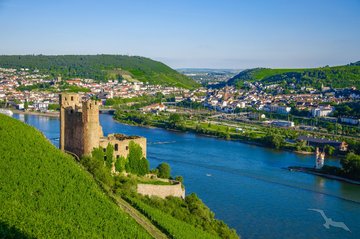 Burg Ehrenfels mit Blick auf Bingen, Deutschland