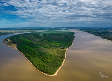 Parana Delta