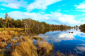Tuart Forest Nationalpark