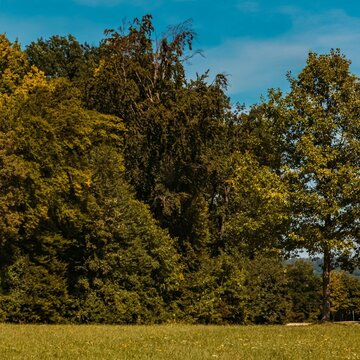 Walhalla und Befreiungshalle