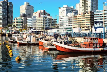 Fischerboote im Hafen von Punta del Este, Urugay