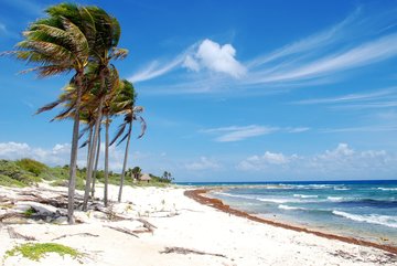 Strand von Cozumel, Mexiko