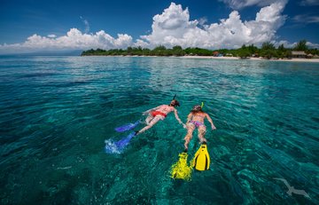 Schnorcheln über einem Korallenriff