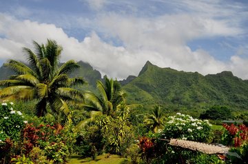 Blick auf die Insel Raiatea, Französisch Polynesien