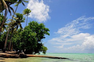 Strand der Insel Raiatea, Französisch Polynesien