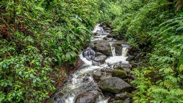 Carbet Falls, Guadeloupe