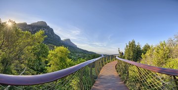 Weg durch den Botanischen Garten in Kirstenbosch, Südafrika