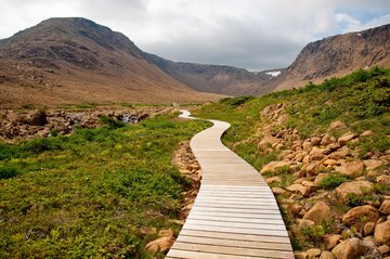 Weg durch die Tablelands im Gros-Morne-Nationalpark, Kanada