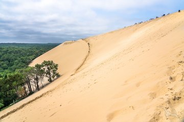 Arcachon, Dune du Pilat