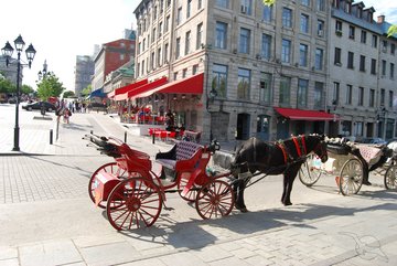 Pferdekutsche in Montreal, Kanada