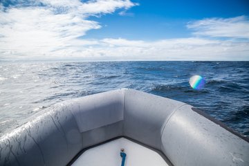 Mit dem Zodiac durchs Archipel