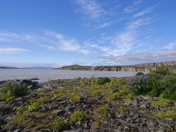 Lagarfljót See, Island