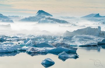 Eisberge und Schneelandschaft Grönlands aus der Vogelperspektive