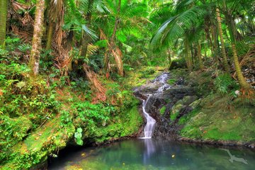 Wasserfall im El Yunque Nationalpark